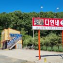 다연네토굴새우젓