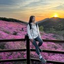 다정다감, 봄 | 4월 화왕산 진달래 절정시기, 주차장 등산코스 사진 명소 총정리