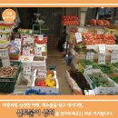 신토불이상회 이미지