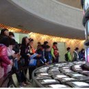 매류초등학교 이미지