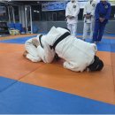 으라차차 유도짐 모라점 | 몸과 마음, 자신감까지 챙기는 다이어트! 부산 사상구 으라차차 유도GYM에서 체력과 자기방어력을 동시에