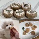 프랑테리 펫푸드 이미지