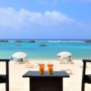 베이브리즈 이미지