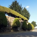 대구 가볼만한곳, 대구 사진찍기 좋은곳, 대구 영화드라마촬영지 - 계명대학교 대명캠퍼스 이미지