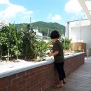 반송1동-8 이미지