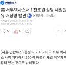 노다지로또 Daum카페