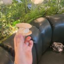 어울림근린공원 화장실 이미지