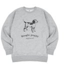 폴인퍼피 이미지