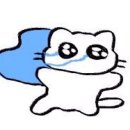 신비헤어 - 익산시 | 신비헤어
