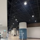 퀵 바이트7