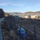 한아름 사슴 농장 이미지