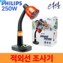 토들펫