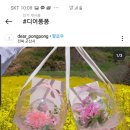 디어퐁퐁 이미지