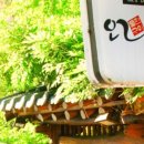 선선오리 이미지