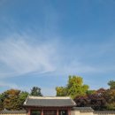 새조은약국 이미지