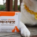 ㈜제펫 이미지