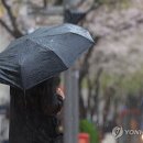 요란 이미지