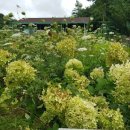 지원농장 이미지