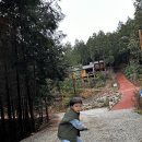 하동편백자연휴양림 이미지