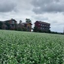 제주애월몽 이미지