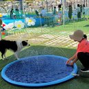 대덕대로1527번길 이미지