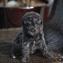 구월2동-16 이미지