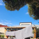 용담 세탁 이미지