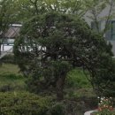 바라밀실버하우스 이미지