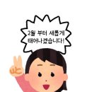 한 것도 없는데 1월 끝??