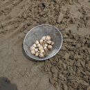 소근진성펜션 이미지