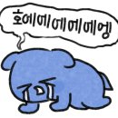 클로버동물병원 이미지