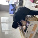 화성시서부보건소 이미지