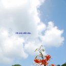 시골풍경 Daum카페