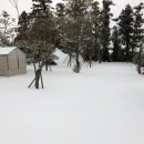 귤빛캠핑장 이미지