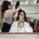 신논현미용실헤어샵 희올헤어에서 인생히피펌한 후기