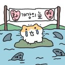삼척여자고등학교 | 나는 낭만아니고 난방고양이