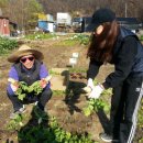 서림동-11 이미지