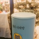 톰의다락방 이미지