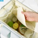 스테디 짐 | 기저귀가방 추천 고민 끝, 달로티 프리미엄 스테디 백팩 후기