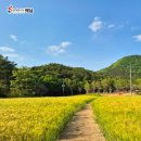 고산윤선도유적지 | 7. 고산 윤선도 유적지 연계 방문지 / 정원·문학·숲길이 겹쳐지는 사색형 동선