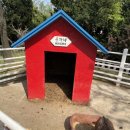 상몽농장2 이미지