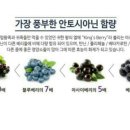 은서네농원