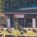 (주)제주국제여행사 | 2025 제주 감귤박람회(감귤축제)에 다녀온 생생 후기! 괜찮은 즐길거리 볼거리 어떤 것 들이 있을까...