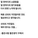 선의의 거짓말... 이미지