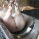 도드람엘피씨공사 이미지