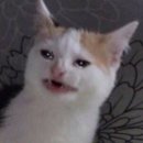 엘르메디여성의원 이미지