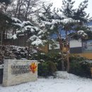 대종약국 이미지