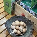 천수라파사우나 이미지