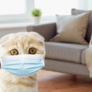 안성동물의료센터 이미지