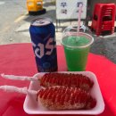 815카플러스 이미지